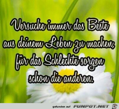 das Beste das Beste