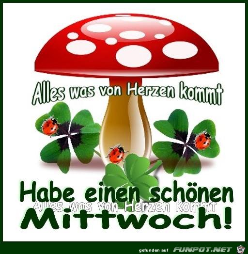 Schoenen Mittwoch Schoenen Mittwoch
