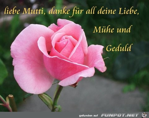 Liebe Mutti