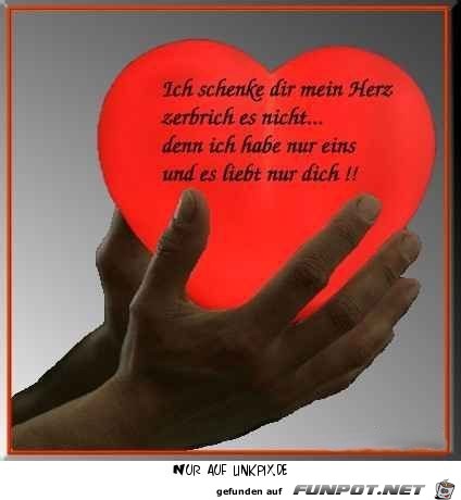 mein herz mein herz