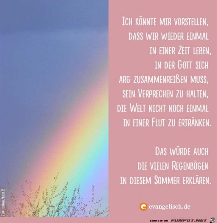 Regenbogen