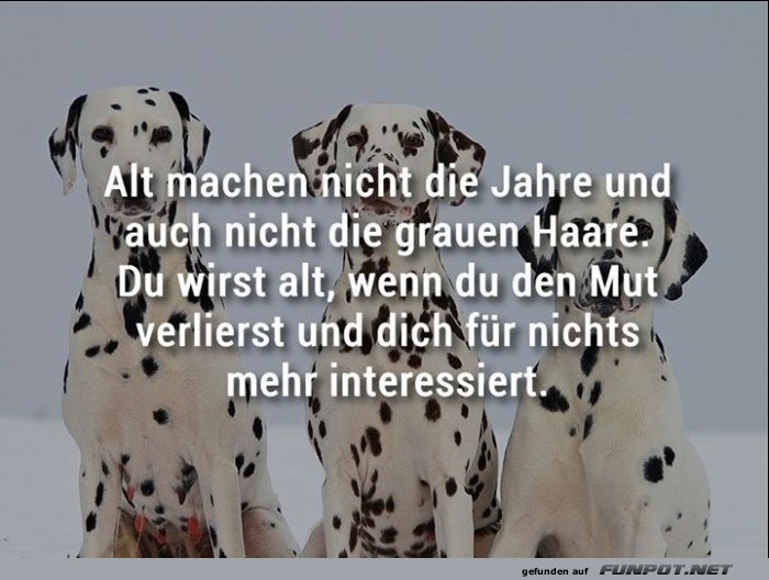 10 schne Sprche und Lebensweisheiten aus...