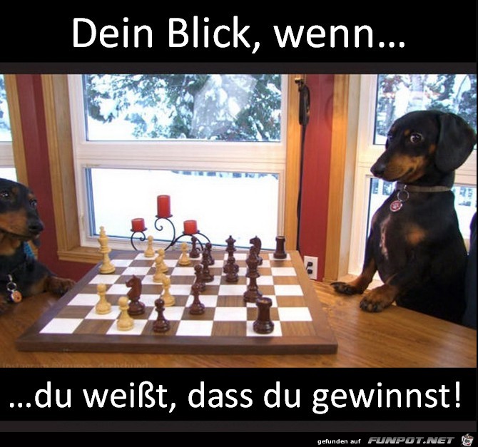 Dein Blick