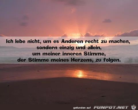 Stimme meines herzens