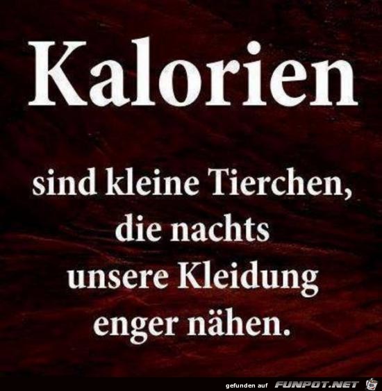 Kalorien Kalorien