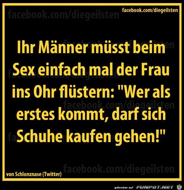 diegeilsten als erster diegeilsten als erster