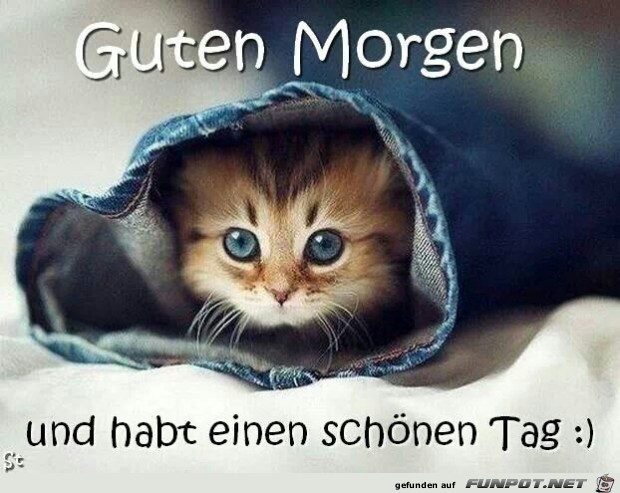 Guten Morgen