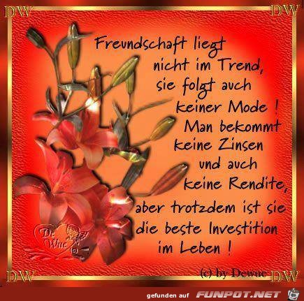 Freundschaft Freundschaft