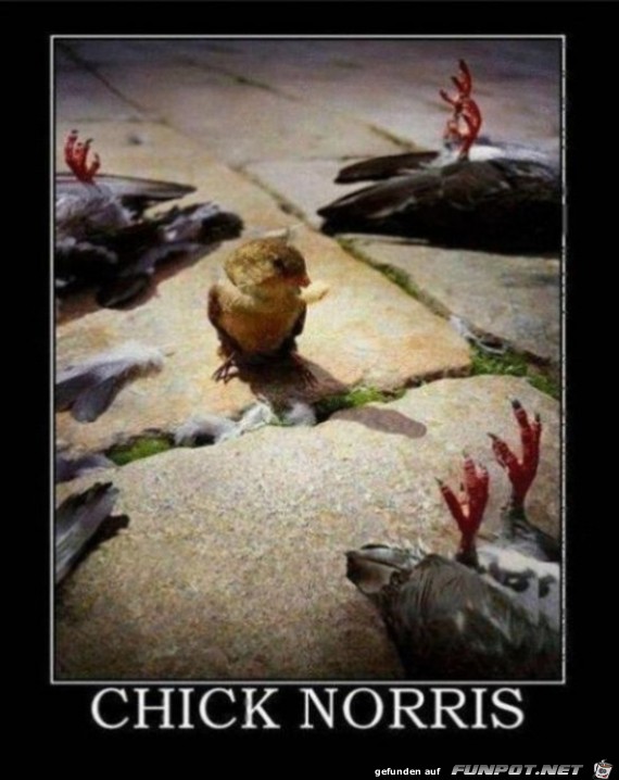 Chuck s Haustier Chuck s Haustier