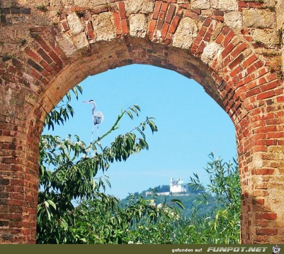 blick auf Kahlenberg