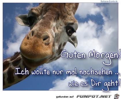 Guten Morgen- 