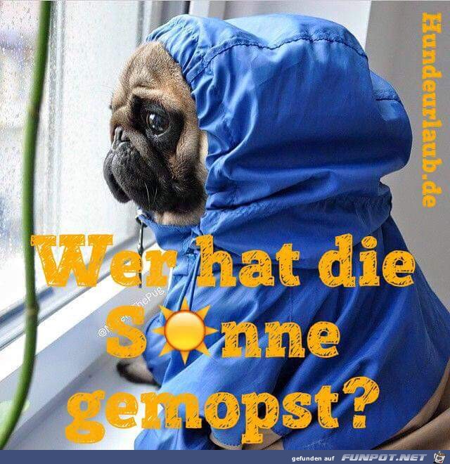 Sonne gemopst Sonne gemopst