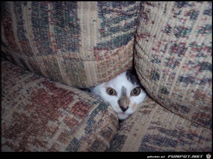 Versteck Versteck