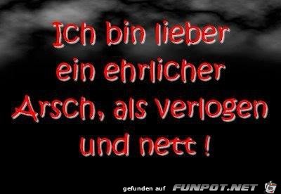 Ich bin lieber ein... Ich bin lieber ein...