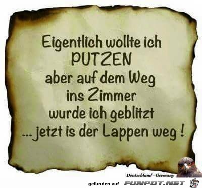 Wollte Putzen Wollte Putzen