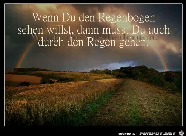 rEGENBOGEN SEHEN rEGENBOGEN SEHEN