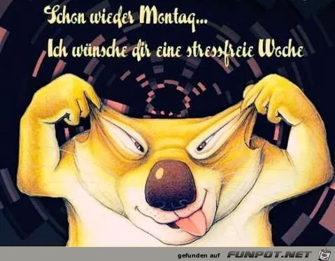 schon wieder Montag schon wieder Montag