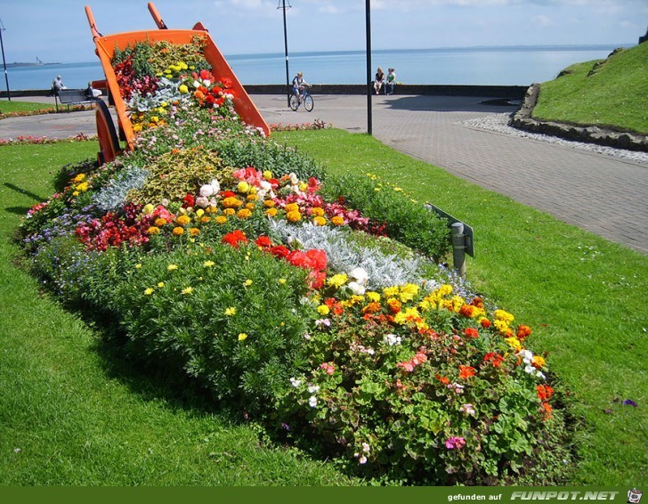 image005 image005