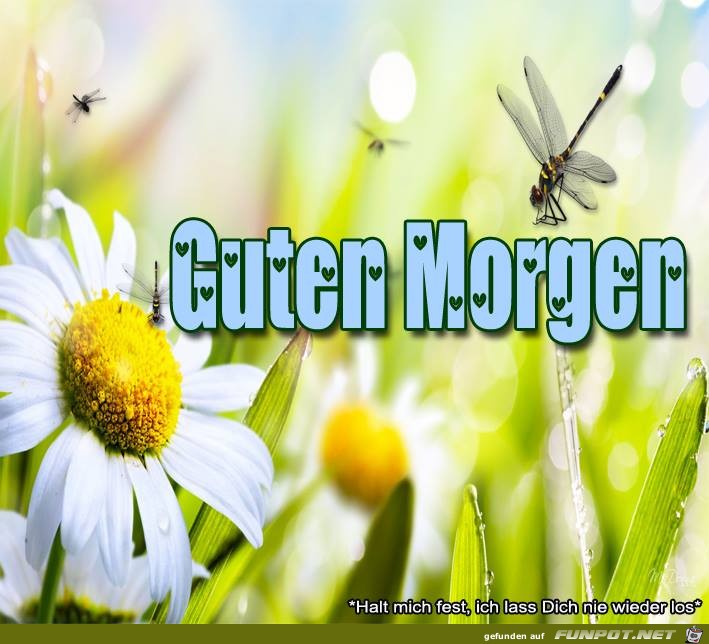 -Guten Morgen -Guten Morgen