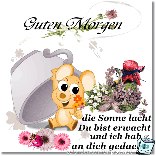 guten Morgen guten Morgen