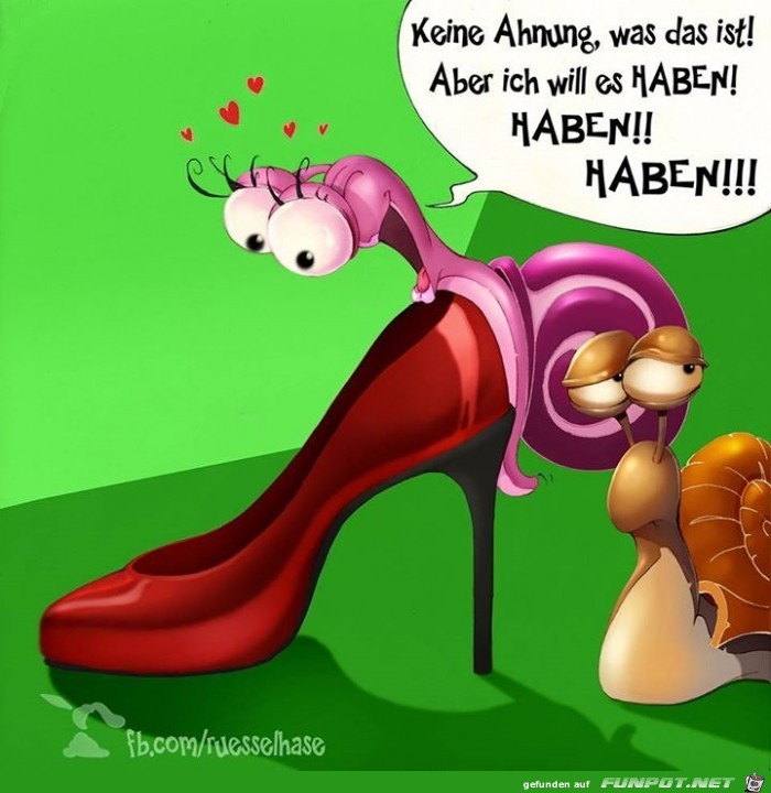 haben haben
