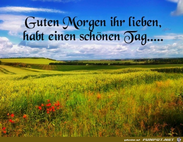 Habt einen schoenen Tag