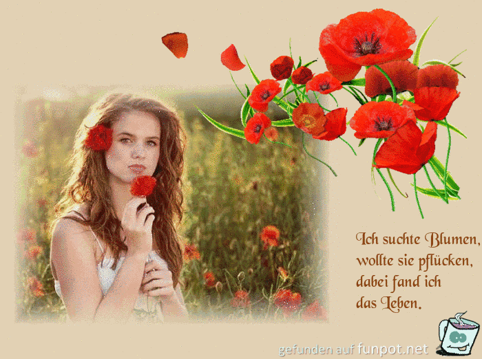 10 sch�ne Spr�che und Lebensweisheiten aus...