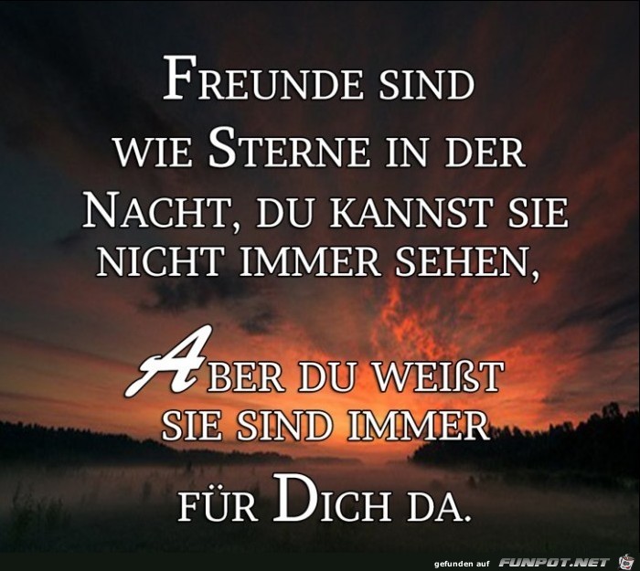 Freunde sind wie Sterne Freunde sind wie Sterne