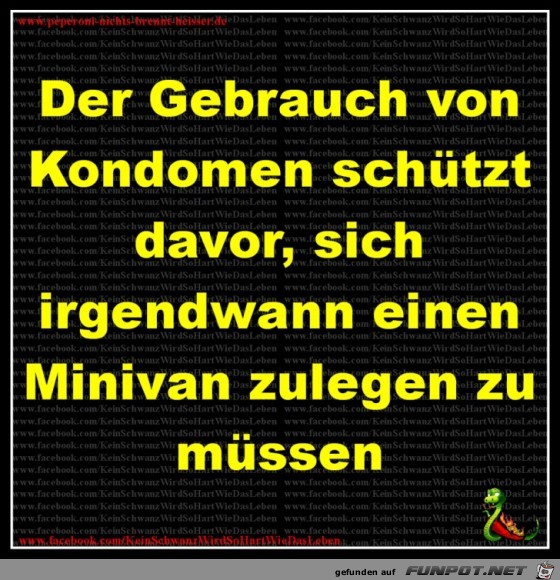 Der Gebrauch Der Gebrauch
