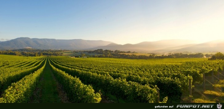 Die schoensten Wein-Gegenden der Welt 24 Die schoensten Wein-Gegenden der Welt 24