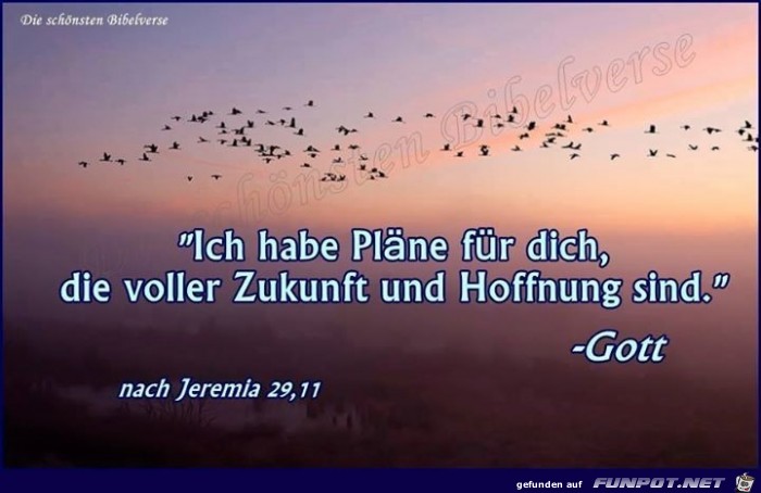 Jeremia 29 11