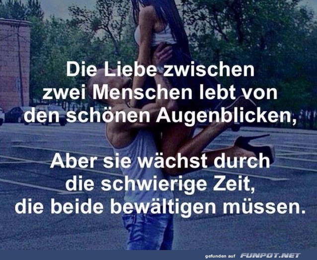 sch�ne Spr�che zur Liebe und Partnerschaft