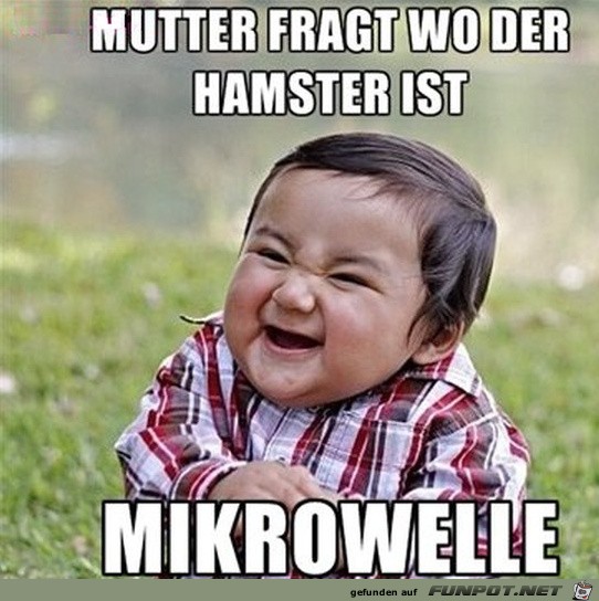 Mikrowelle