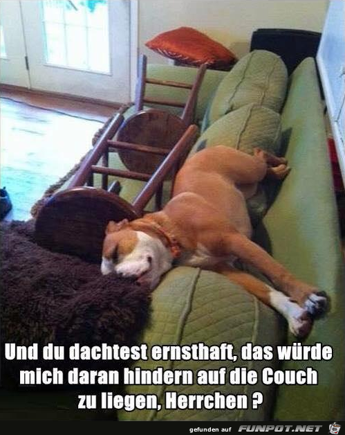 Mir doch egal Mir doch egal