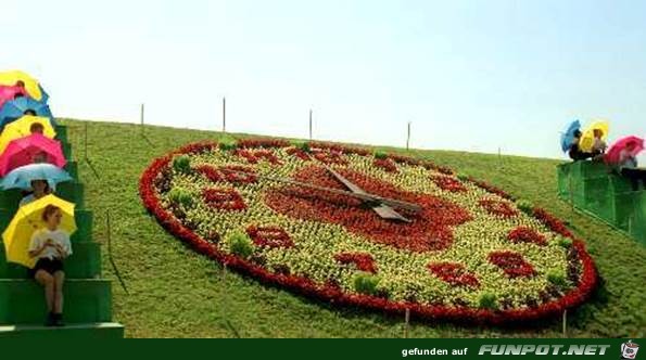 Toll angelegte Blumengrten