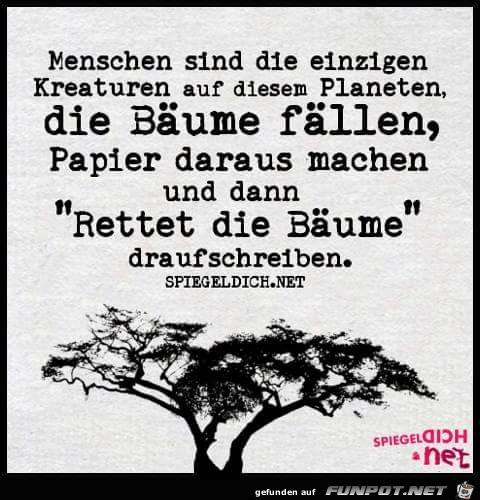 Bäume Bäume