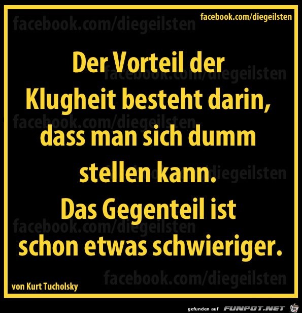 diegeilsten Klugheit diegeilsten Klugheit