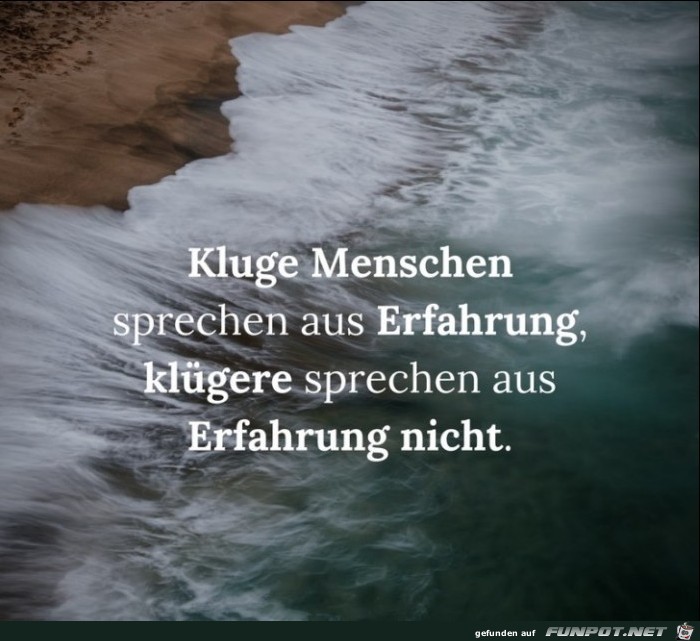 kluge-menschen-