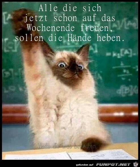 Hände heben Hände heben