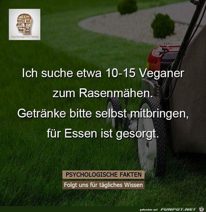 ich suche ich suche