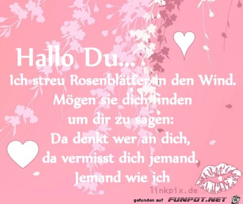 hallo du hallo du