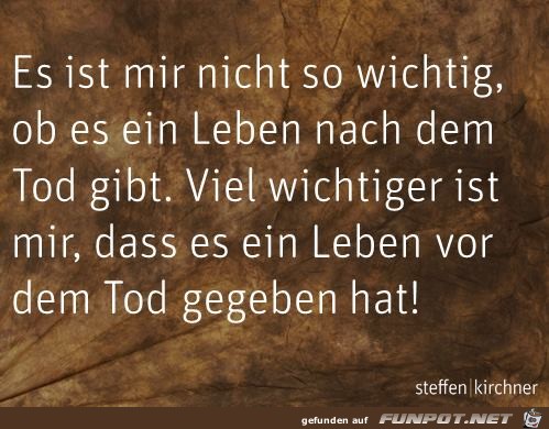 Leben vor dem Tod