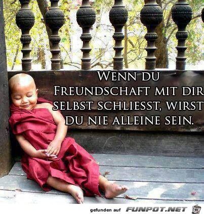 Nie Alleine Nie Alleine