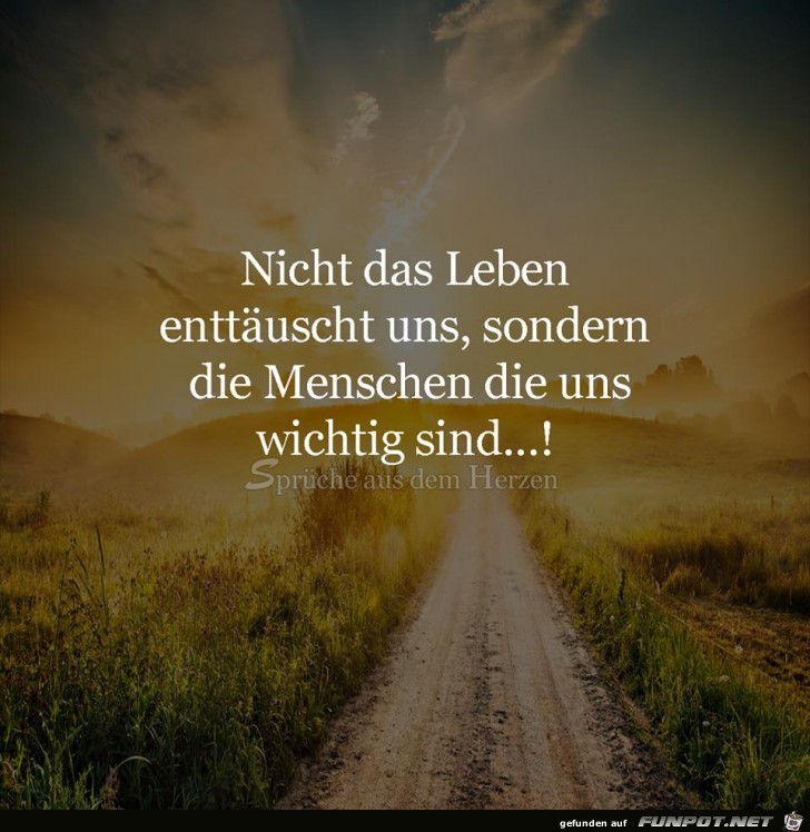 Nicht das Leben Nicht das Leben