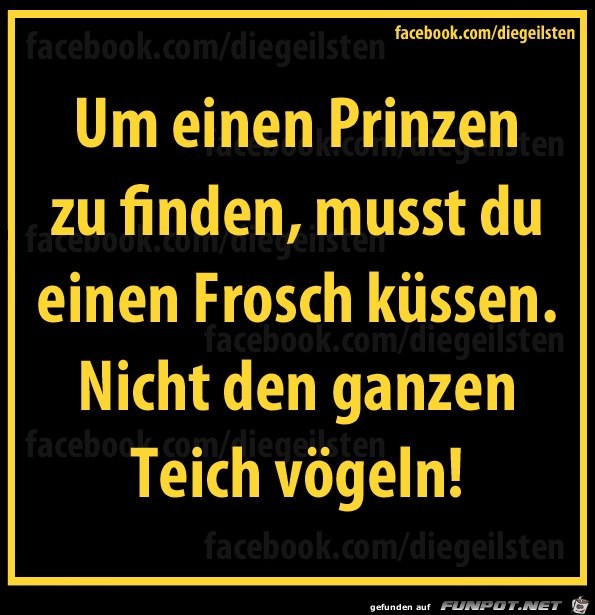 diegeilsten Frosch diegeilsten Frosch