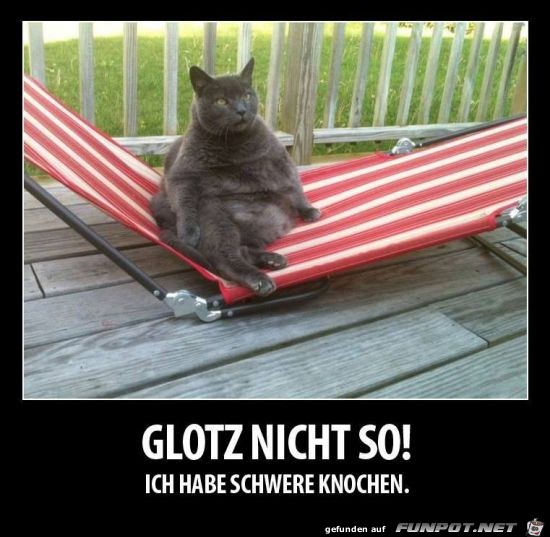 Schwer Schwer
