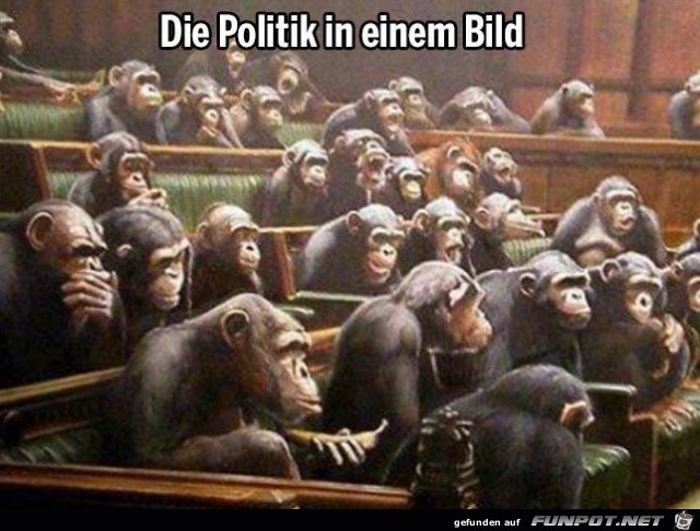 die Politik die Politik