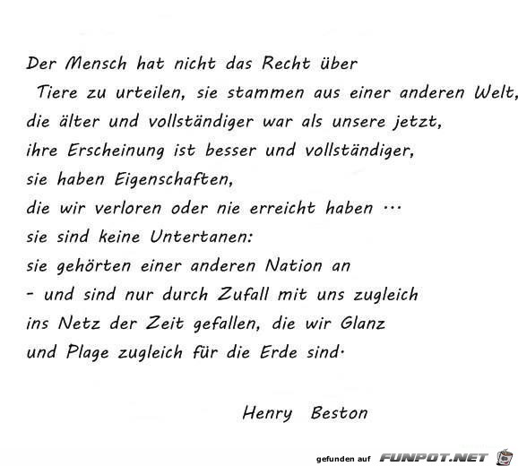 der-mensch-hat-nicht-das-recht-ueber-tiere-zu-urteilen der-mensch-hat-nicht-das-recht-ueber-tiere-zu-urteilen