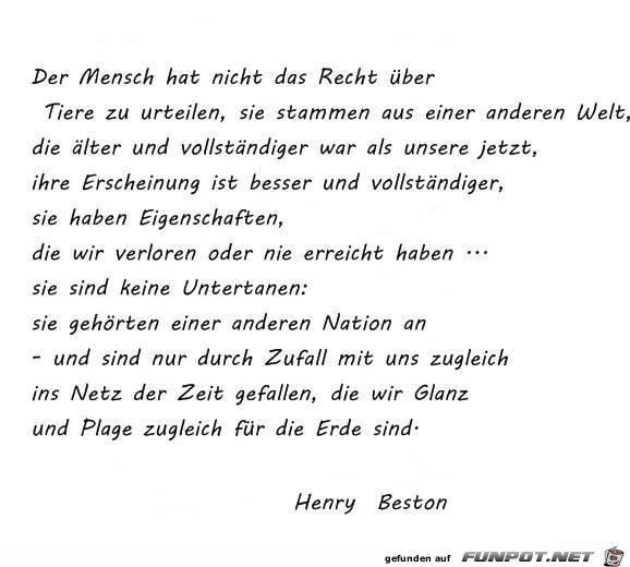 der-mensch-hat-nicht-das-recht-ueber-tiere-zu-urteilen