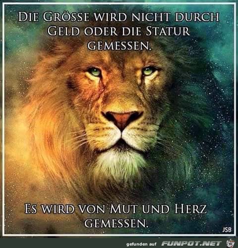 nicht durch Geld nicht durch Geld